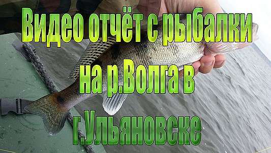  'Видео отчёт с рыбалки на р.Волга в г.Ульяновске'